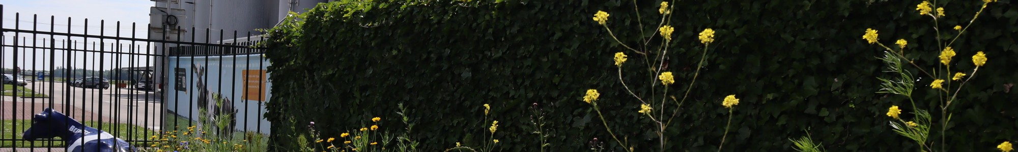 Extra Beeld CONO Kaasmakers 2024